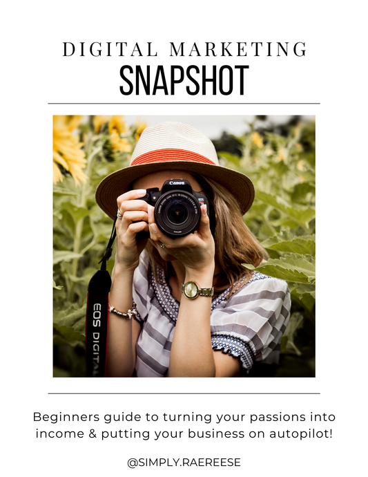 Digital Marketing Snapshot